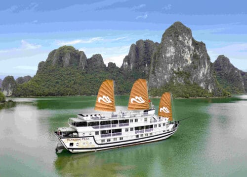 Paradise Peak Cruise