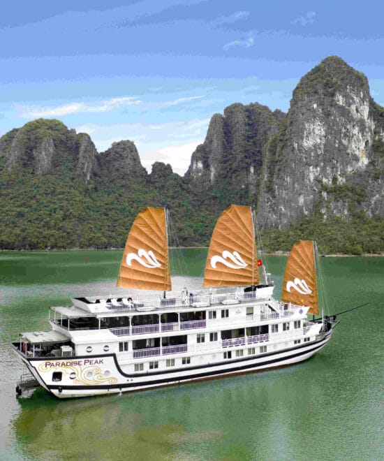 Paradise Peak Cruise