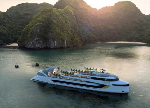 Dolphin Halong Day Cruise