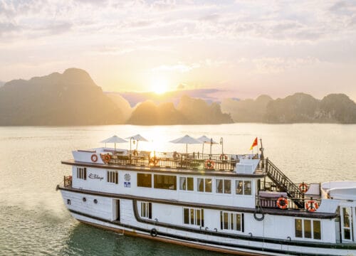 Bhaya Premium Cruise