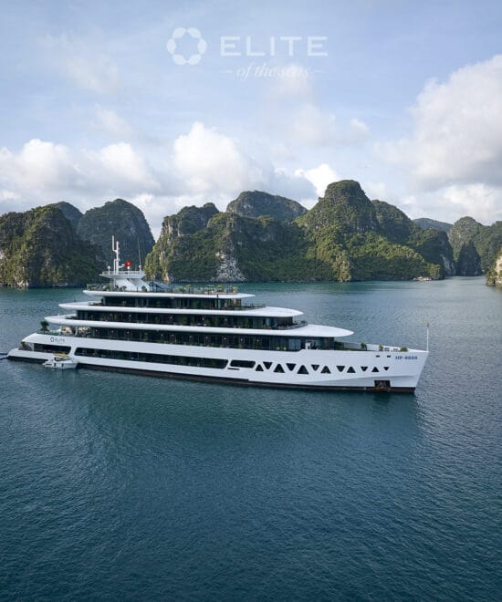 Elite Of The Seas Cruise