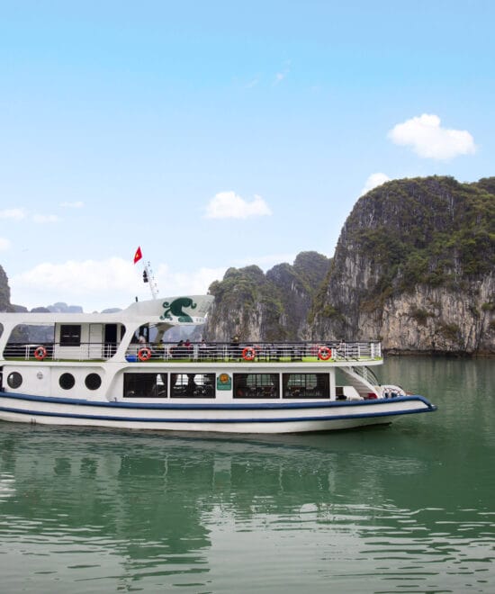 La Muse Cruise 1 Day