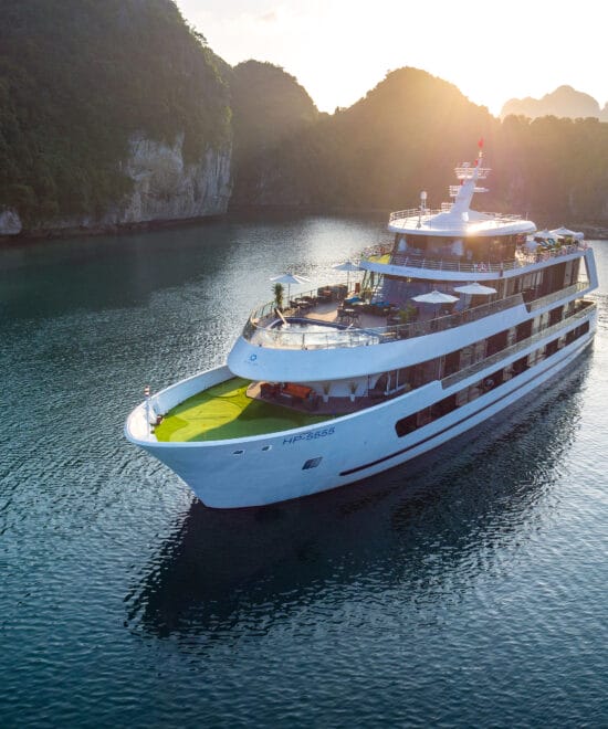 Stellar Of The Seas Cruise