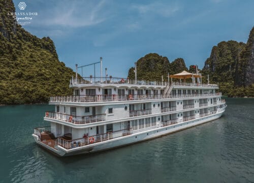 Ambassador Signature Cruise