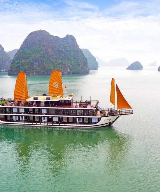 Peony Cruise