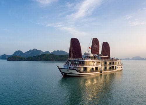 Orchid Trendy Cruise