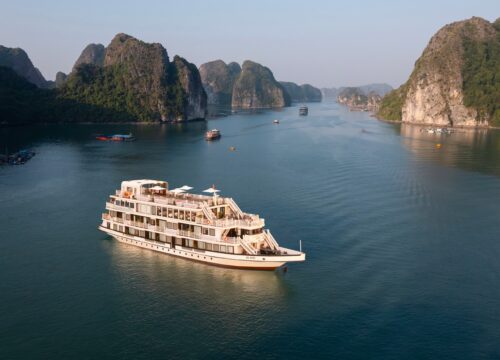 Arcady Boutique Cruise
